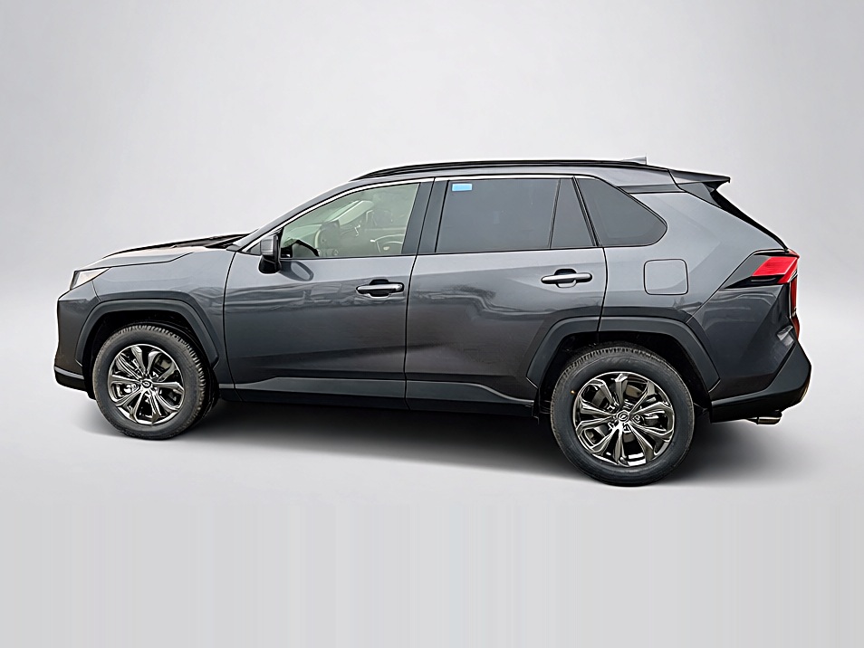 Toyota RAV 4 Hybrid 4x2 Team Deutschland Technik-Paket – Vue 2