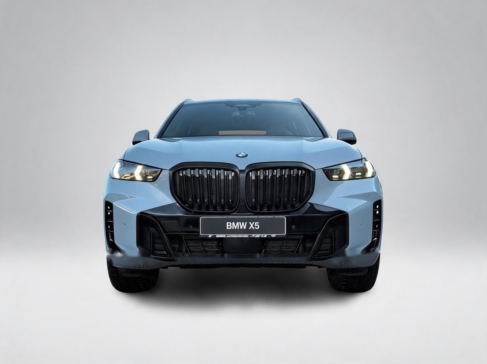 BMW X5 xDrive40d – Vista 5